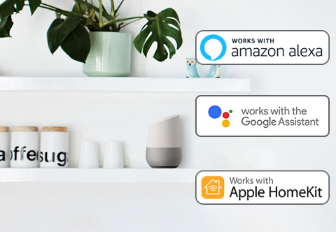Hej, Siri! Ok, Google! Alexa!